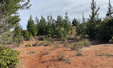 Rematamos Parcelas En Pichilemu, Bucalemu, Paredones. Sexta Region