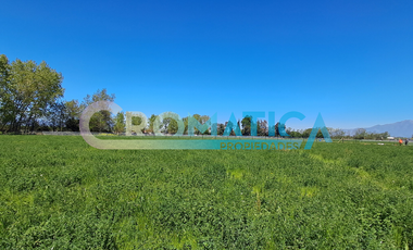 Venta Parcela 1-I En Loteo El Maitén, Sector La Compañía