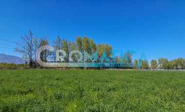 Venta Parcela 1-I En Loteo El Maitén, Sector La Compañía