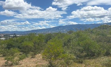 SE VENDE FINCA EN VILLA DE LEYVA