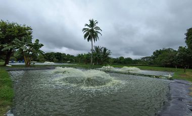 Se Vende Exclusiva Casa Finca En Cerete Cerca De Todo