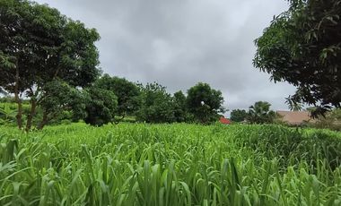 Se Vende Exclusiva Casa Finca En Cerete Cerca De Todo