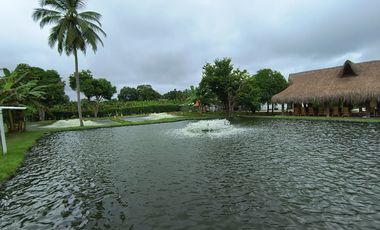 Se Vende Exclusiva Casa Finca En Cerete Cerca De Todo