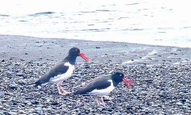 VENDO TERRENO CON PRECIOSA VISTA A LAGUNA Y CLUB HOUSE EN CONDOMINIO CERRADO!!!