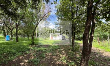 Quinta en venta, Camino a la Cuetera Montemorelos, Nuevo León.