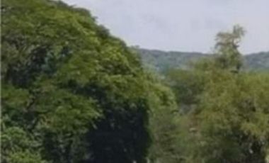 TERRENO EN VENTA RIBERA DEL CARDENAL (POBLADO) LOTE 5