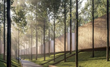 Freehold Wellness Villa within Forest in Canggu