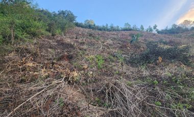 Dijual Tanah Bukit dan Datar Dekat Serkuit Mandalika diLombok