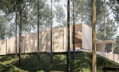 Iconic Wellness Villa Nestled within Forest in Canggu