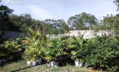 Terreno Comercial en Venta, Bonfil, Cancún Centro, Cancún