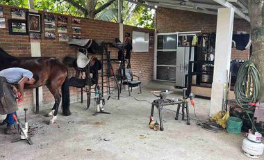 Vendo Finca en Rozo con Pesebreras MMC