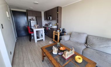 SE ARRIENDA DEPARTAMENTO BARRIO ITALIA ÑUÑOA