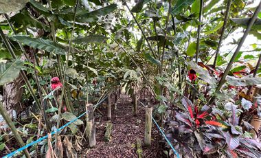 Casa en venta Pedro Vicente Maldonado - Vía Calacali la  Independencia sobre la vía Principal en Andoas