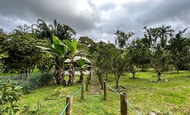 Casa en venta Pedro Vicente Maldonado - Vía Calacali la  Independencia sobre la vía Principal en Andoas