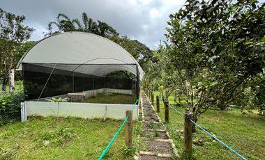 Casa en venta Pedro Vicente Maldonado - Vía Calacali la  Independencia sobre la vía Principal en Andoas