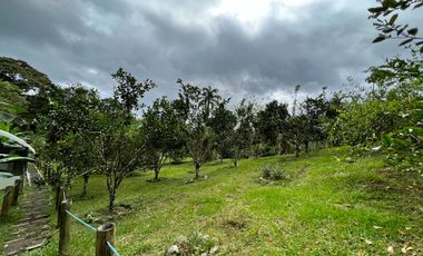 Casa en venta Pedro Vicente Maldonado - Vía Calacali la  Independencia sobre la vía Principal en Andoas