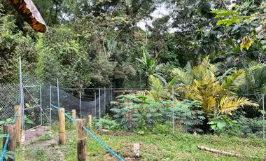 Casa en venta Pedro Vicente Maldonado - Vía Calacali la  Independencia sobre la vía Principal en Andoas