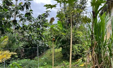 Casa en venta Pedro Vicente Maldonado - Vía Calacali la  Independencia sobre la vía Principal en Andoas