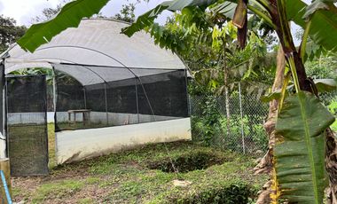 Casa en venta Pedro Vicente Maldonado - Vía Calacali la  Independencia sobre la vía Principal en Andoas