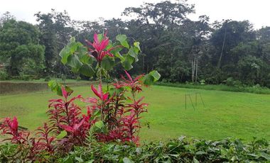 Casa en venta Pedro Vicente Maldonado - Vía Calacali la  Independencia sobre la vía Principal en Andoas