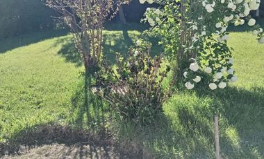 SE VENDE CASA CON AMPLIO TERRENO, LONGAVI,REGION DE MAULE.