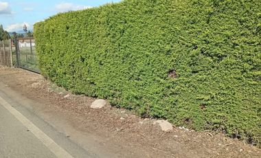 SE VENDE CASA CON AMPLIO TERRENO, LONGAVI,REGION DE MAULE.