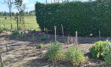 SE VENDE CASA CON AMPLIO TERRENO, LONGAVI,REGION DE MAULE.