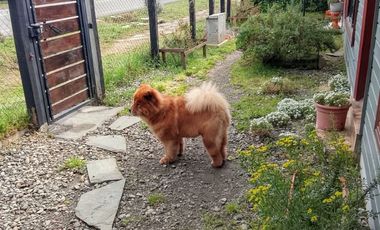 Venta de Hermosa Casa en Mehuin en calle Principal