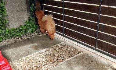 Venta de Hermosa Casa en Mehuin en calle Principal