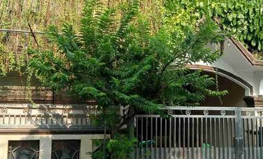 Jual Cepat Rumah Mewah Harga Murah