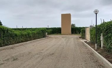 VENDO TERRENO 923.05m2 CONDOMINIO LOS ARÁNDANOS-IMPERIAL CAÑETE