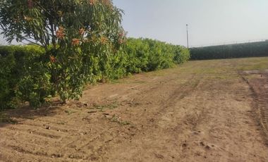 VENDO TERRENO 923.05m2 CONDOMINIO LOS ARÁNDANOS-IMPERIAL CAÑETE