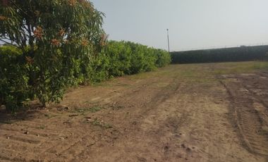 VENDO TERRENO 923.05m2 CONDOMINIO LOS ARÁNDANOS-IMPERIAL CAÑETE