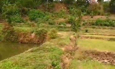 JUAL dan SEWA TANAH ISTIMEWA di PACET MOJOKERTO