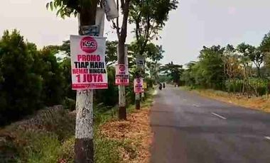 JUAL dan SEWA TANAH ISTIMEWA di PACET MOJOKERTO
