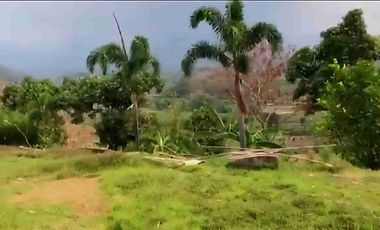 JUAL dan SEWA TANAH ISTIMEWA di PACET MOJOKERTO