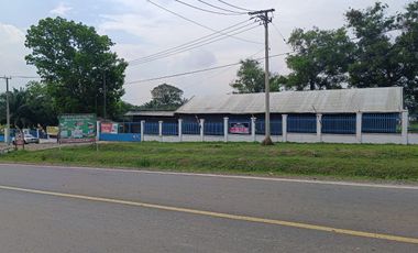 DIJUAL LAHAN EX PABRIK BONUS KEBUN SAWIT KM 52 PALEMBANG BETUNG