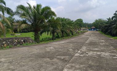 DIJUAL LAHAN EX PABRIK BONUS KEBUN SAWIT KM 52 PALEMBANG BETUNG