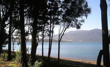 Parcela en Lago Riñihue