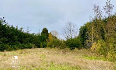 Terreno orilla de lago en Puerto Varas