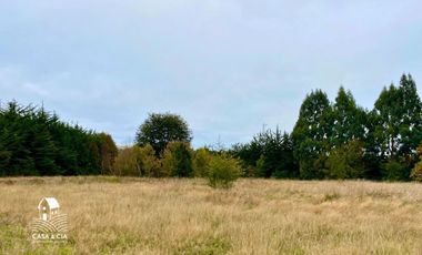 Terreno orilla de lago en Puerto Varas