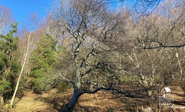 Casa en Lago Riñihue en 2,5 hectareas de terreno