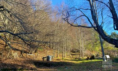 Casa en Lago Riñihue en 2,5 hectareas de terreno