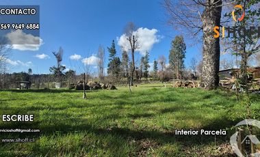 Parcela en Sector El Peral, Yungay, Region de Ñuble