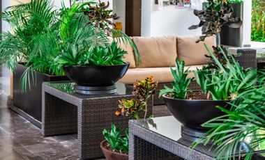 🏝️ Penthouse with Private Pool Rooftop — Vaivén del Viento, Playacar