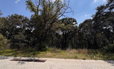 Gran Terreno en venta en Rancho San Juan con excelentes vistas