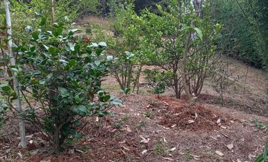 Aprovecha la oportunidad de tener una casa en el campo, a pocos minutos de Morelia ahora a un SUPER PRECIO!