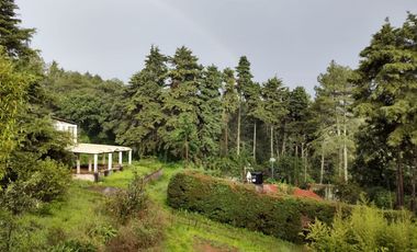 Aprovecha la oportunidad de tener una casa en el campo, a pocos minutos de Morelia ahora a un SUPER PRECIO!