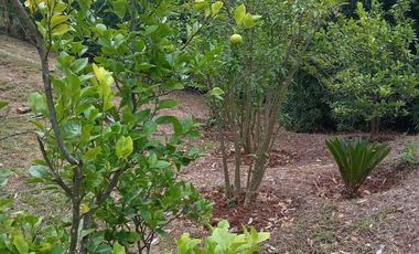 Aprovecha la oportunidad de tener una casa en el campo, a pocos minutos de Morelia ahora a un SUPER PRECIO!