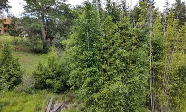 Aprovecha la oportunidad de tener una casa en el campo, a pocos minutos de Morelia ahora a un SUPER PRECIO!